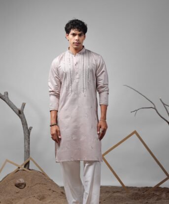 Men's Pinkish Grey Viscose Embroidery Kurta