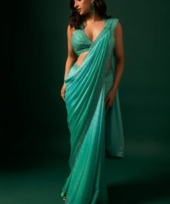 Blue Ivy Saree