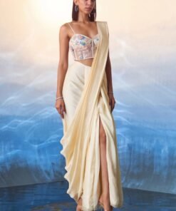 Champagne Embellished Silk Drape Saree