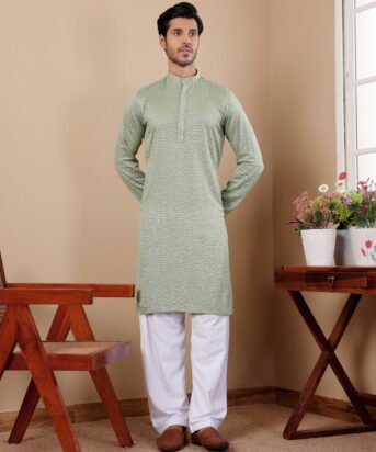 Men's Pastel Green Viscose Embroidery Kurta